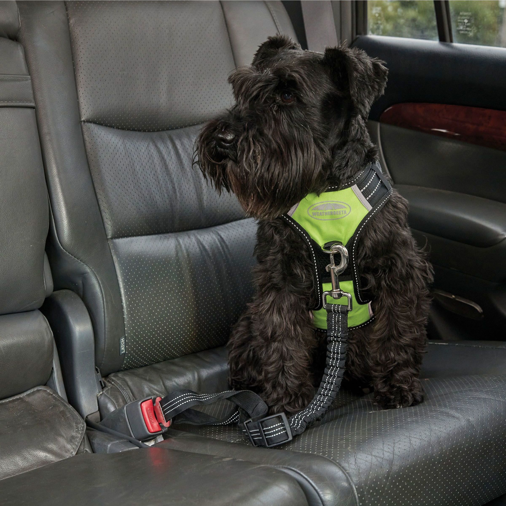 Weatherbeeta Anti Pull / Traveling Harness 1003617 - Yellow